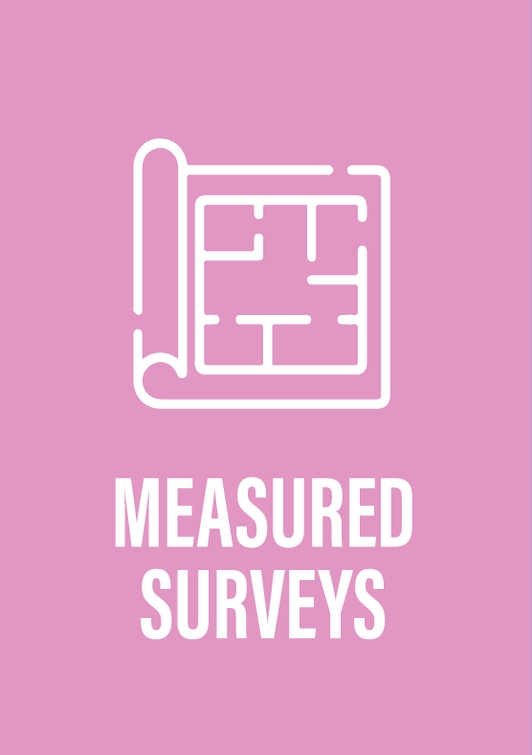 Services Icons-measured-surveys